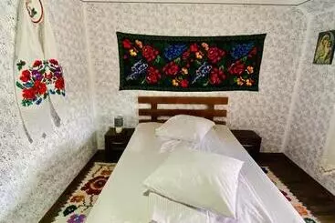 Pension Floare De Maramures 1