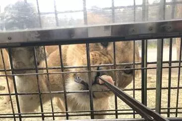 ペンション Beppu Hostel U&t