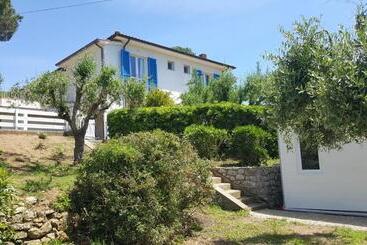 B&b La Casa Degli Ulivi