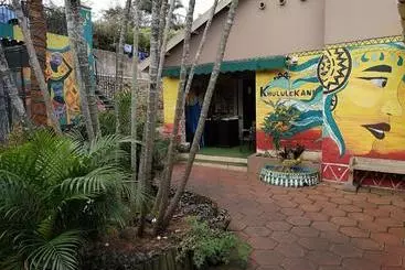 ユースホステル Khululekani   Durban Rasta Hide Out Backpackers