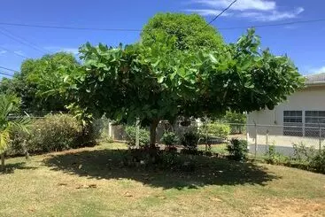 تختخواب و صبحانه Ritashomeawayfromhome