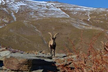 膳宿费 Labella Hostal Restaurante
