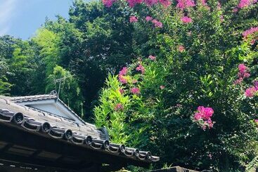 Pansiyon Kazenomori Kitchen  Hostel