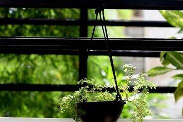 Steps Backpackers Hostel