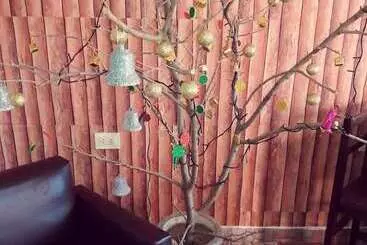 Pansiyon Hostal Sisabel