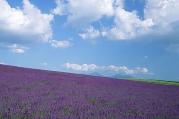 Winery Hotel And Condominium Hitohana