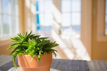 هاستل 1 West Inn Waterfront