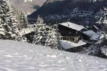 Hotel Chalet Starlight