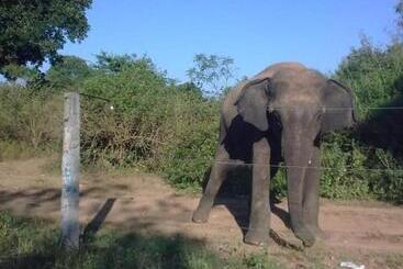 Yonan River Face Safari Resort