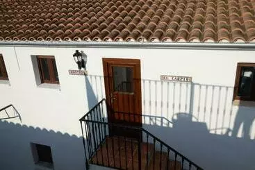 Pension Olivetum Colina
