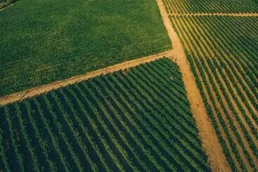 Majatalo Pátio Da Figueira