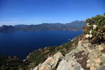 Huoneistohotelli Residenza L 'alivetu