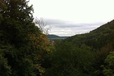 Pension Tannenrausch