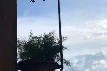 ペンション Villa Domaso