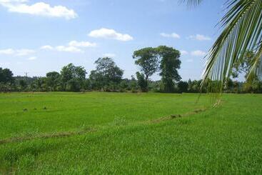 پانسیون Risenlak Holiday Resort