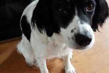 Pensão Kakunodate Guesthouse Fuga