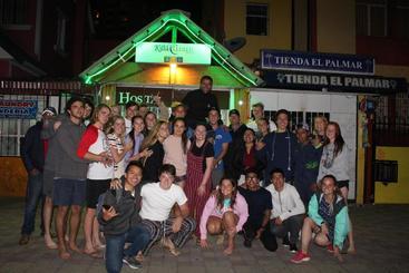 Hostel Hostal Killa Llullu