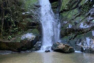 住宿加早餐  Gato De Botas  Flats E Suites