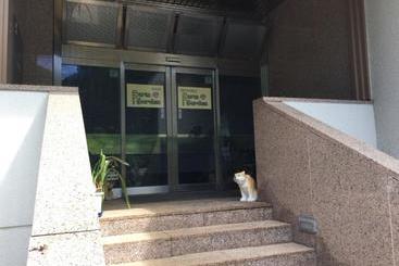 膳宿费 Farm Garden