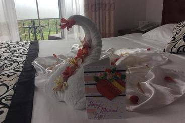 Bed and Breakfast Tealeaf