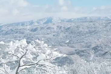 ペンション Edelweiss Akakura