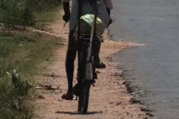 Pensió D Villa Guest House