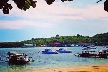 Pension (Hôtel basse catégorie) Tirta Yoga Inn