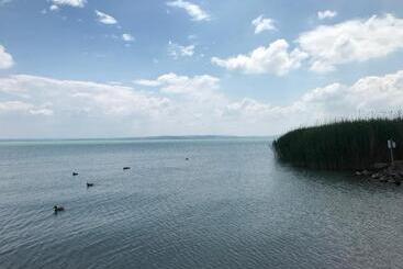 Pension Pastel Guesthouse