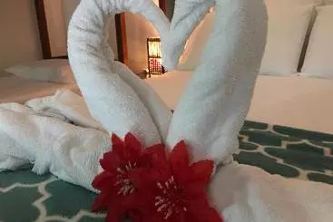 ペンション Pousada Do Mineiro