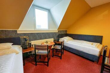 Pensionat Kisviza Vendégház