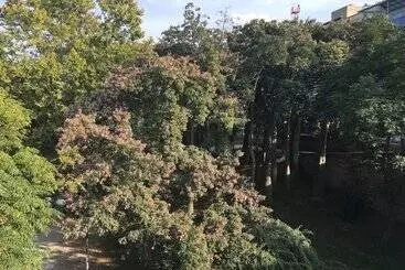 Md Design Hotel   Portal Del Real