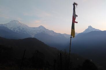 پانسیون Unique Guest House