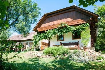 Pansiyon Fecskefészek Vendégház őriszentpéter