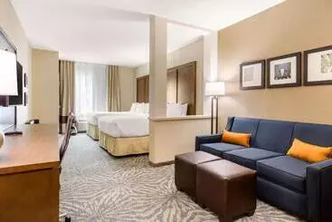 ホテル Comfort Suites  South Austin