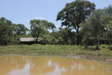 Otel Miombo Safari Camp