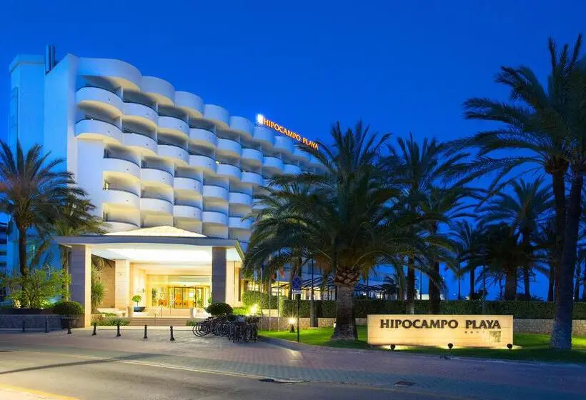 Hipotels Hipocampo Playa