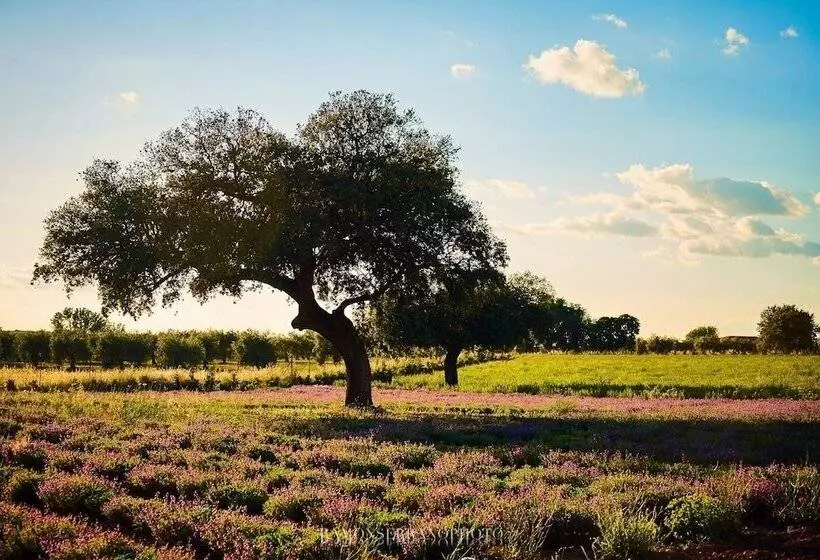 Отель Balneario El Raposo