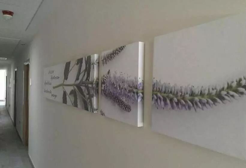 Отель Balneario El Raposo