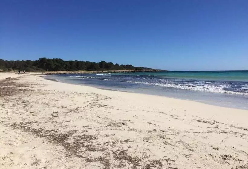 Отель Bj Playa Blanca