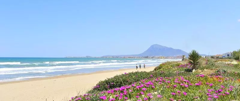 Отель Mr Costa Blanca