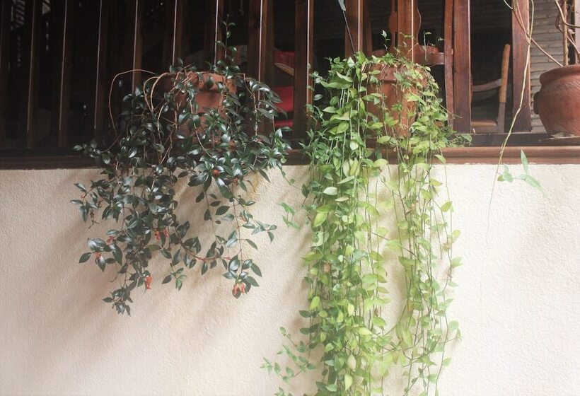 ホテル Posada Mayor De Migueloa