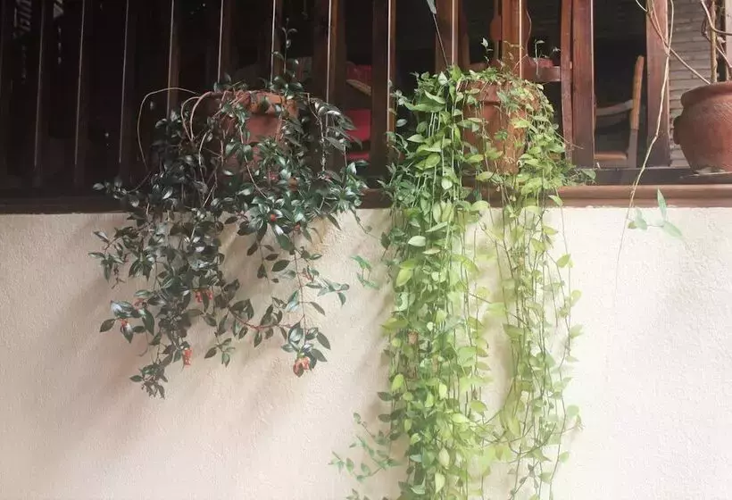 호텔 Posada Mayor De Migueloa