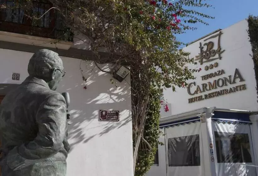 ホテル Terraza Carmona