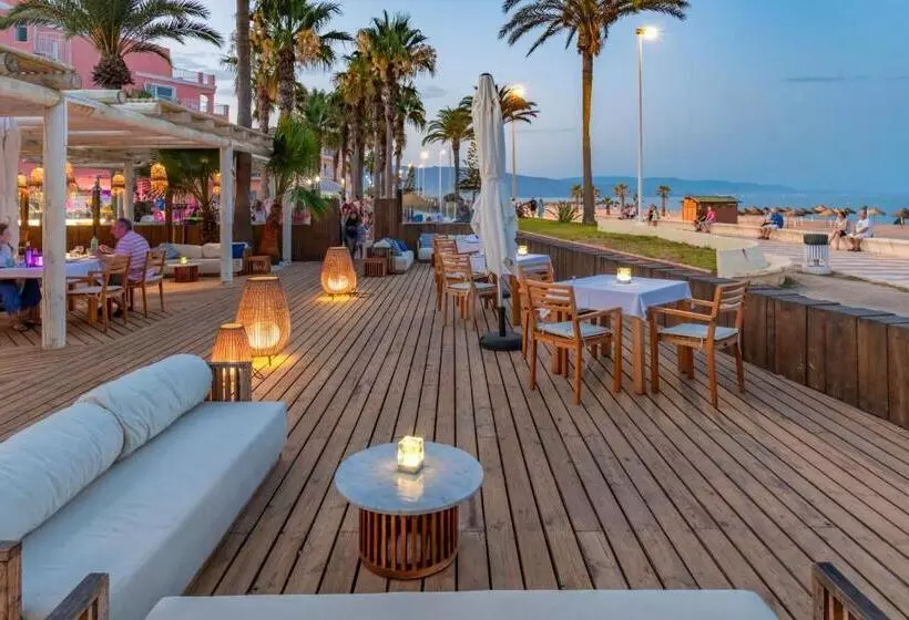 Mediterráneo Bay Hotel & Resort