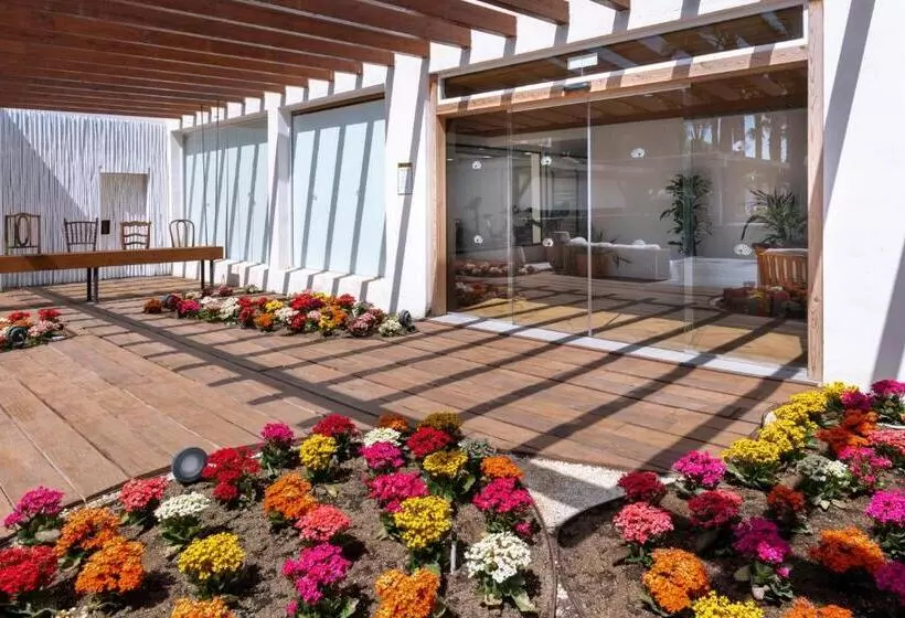 Mediterráneo Bay Hotel & Resort