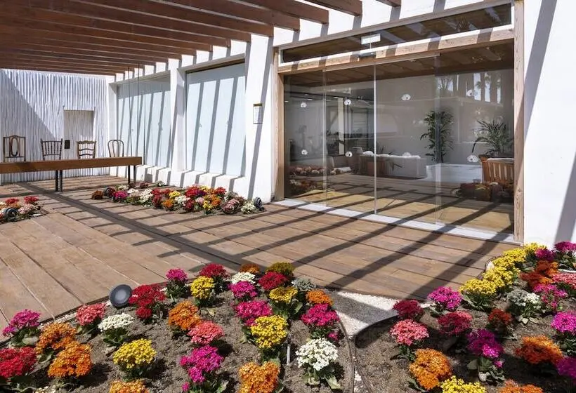 Mediterráneo Bay Hotel & Resort