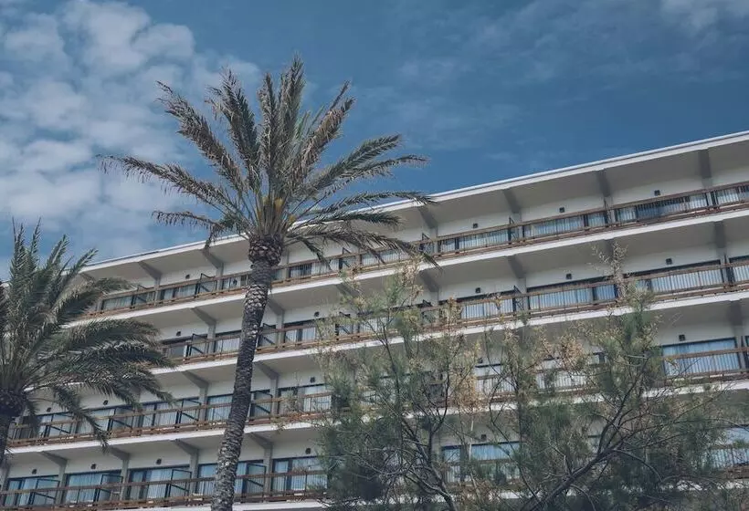 Aya Seahotel   Adults Only