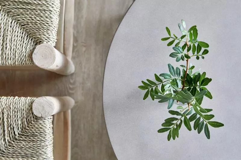 Hotel Hm Dunas Blancas