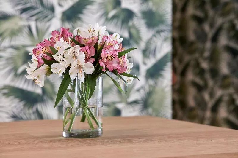 Hotel Hm Dunas Blancas