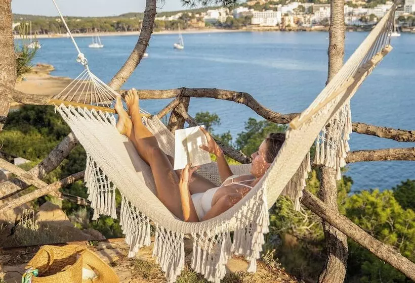 ホテル Iberostar Selection Jardín del Sol Suites - Adults Only